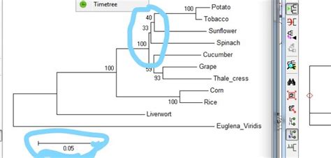 mega phylogenetic tree|Iba pa.
